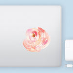 Peach Watercolor Peony Decal Bright Future Heirloom