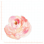 Peach Watercolor Peony Decal Bright Future Heirloom