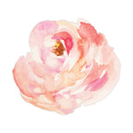 Peach Watercolor Peony Decal Bright Future Heirloom