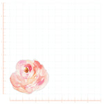 Peach Watercolor Peony Decal Bright Future Heirloom