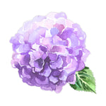 Purple Watercolor Hydrangea Flower Decal Bright Future Heirloom