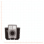 Vintage Brownie Twin Camera Decal Bright Future Heirloom