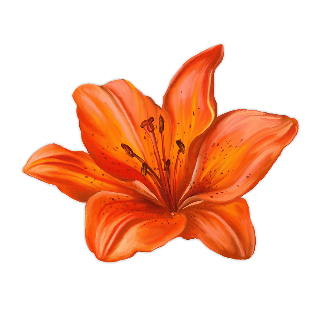 Watercolor Tiger Lily Flower Decal