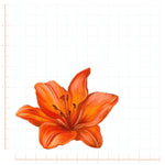 Watercolor Tiger Lily Flower Decal Bright Future Heirloom