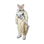 Cat-Astronaut 02 Decal Bright Future Heirloom