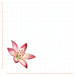 Watercolor Stargazer Lily Flower Decal Bright Future Heirloom