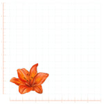 Watercolor Tiger Lily Flower Decal Bright Future Heirloom